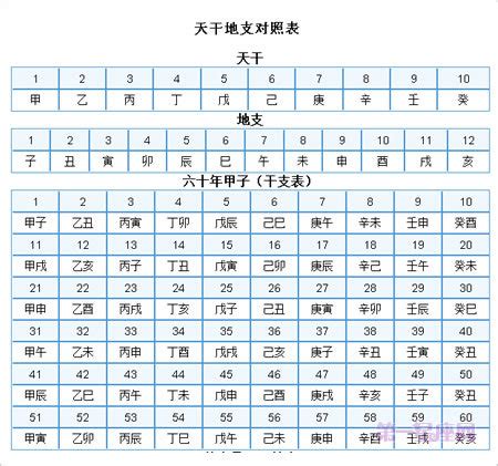 1995 天干地支|在线日期天干地支计算器